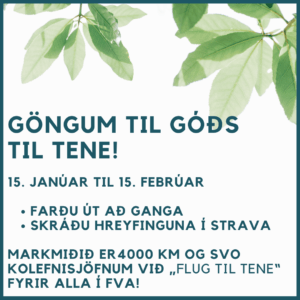 Gengið til góðs - insta - stutt