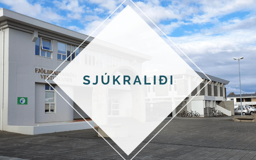 Sjúkraliðanemar – staðlota