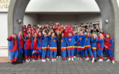 Dimission vorið 2025