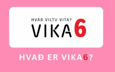 Vika 6