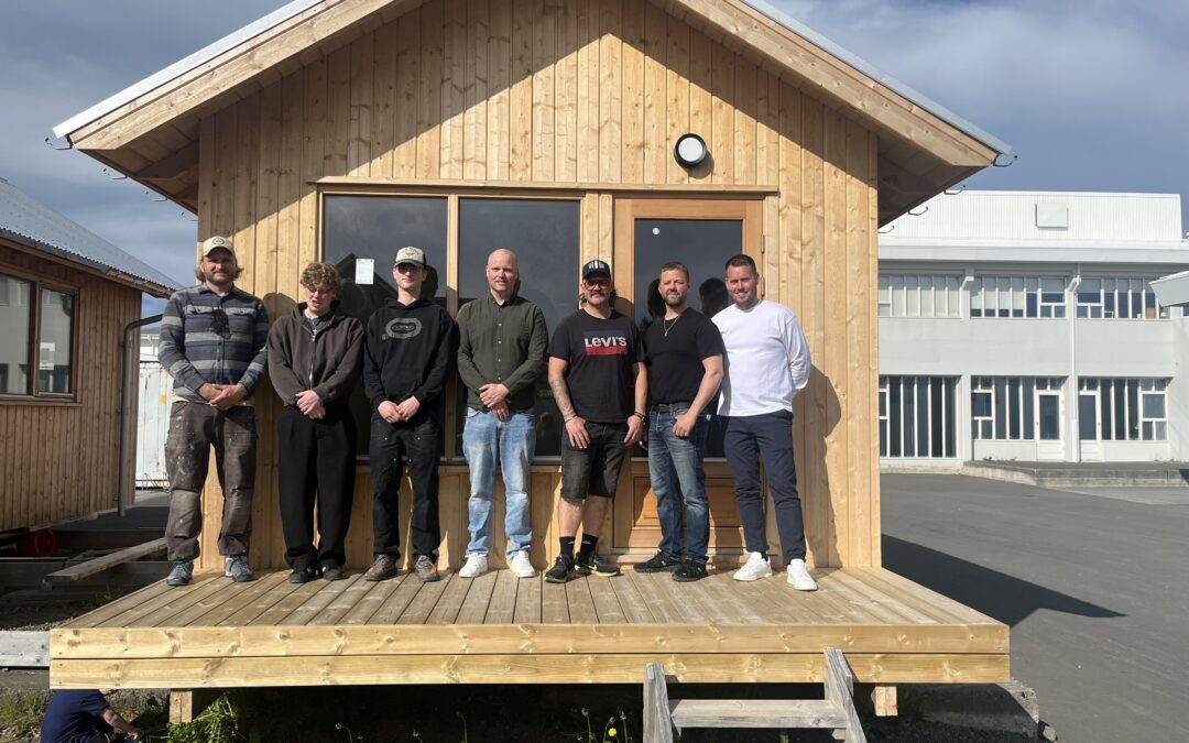 Sveinspróf í trésmíði