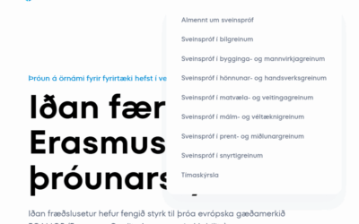 Umsókn um sveinspróf